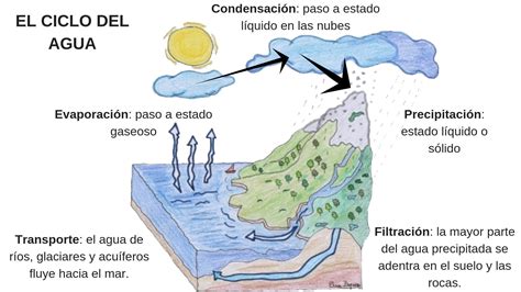 esquema del ciclo del agua